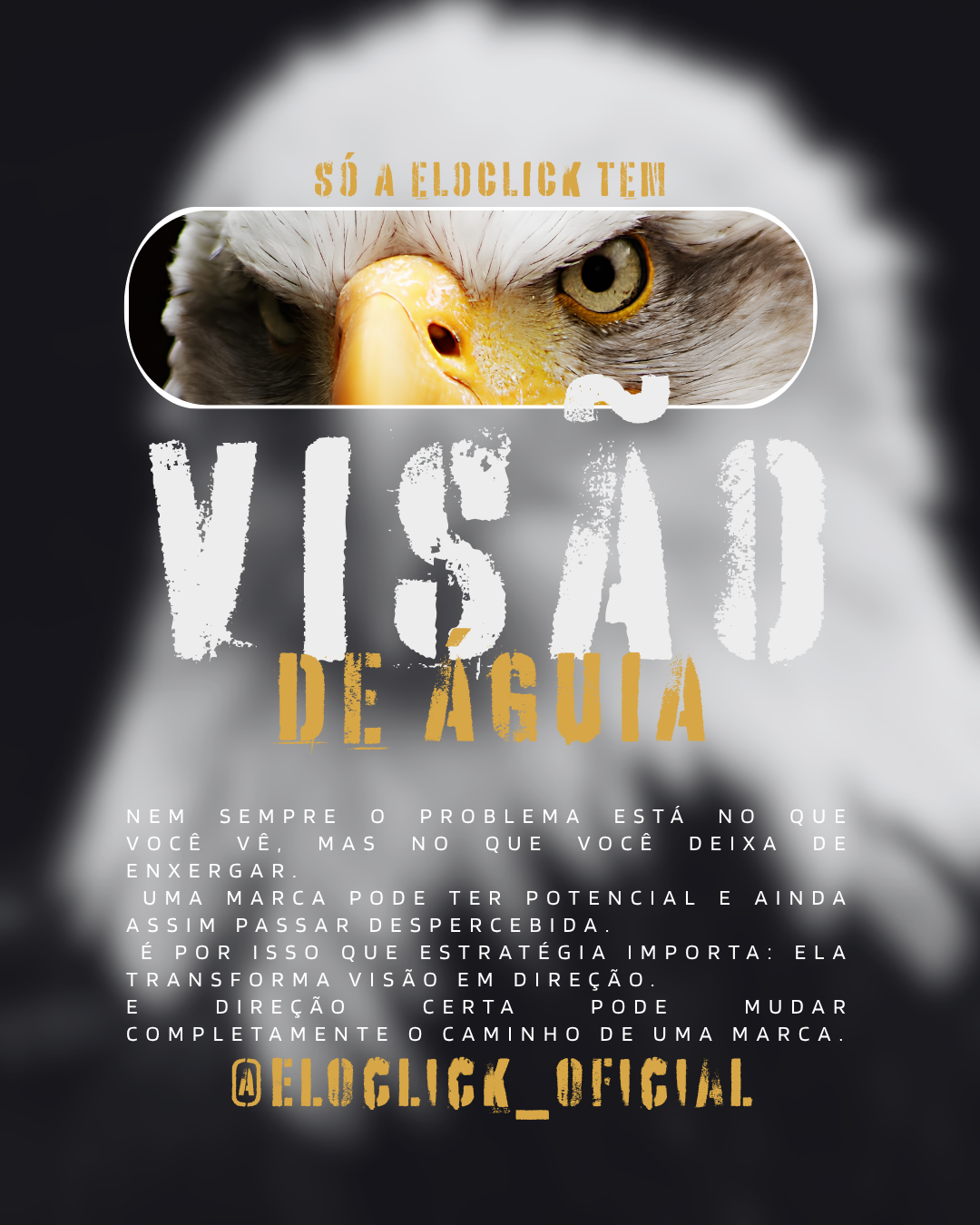 Visão de Águia